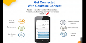 Features of GoldMine Connect for remote access