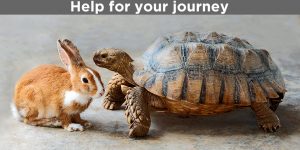 marketing automation processes [image of hare and tortoise]
